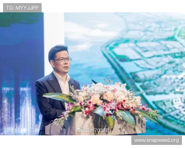 福建企业家引领创新发展推动地方经济腾飞探索成功路径与未来展望