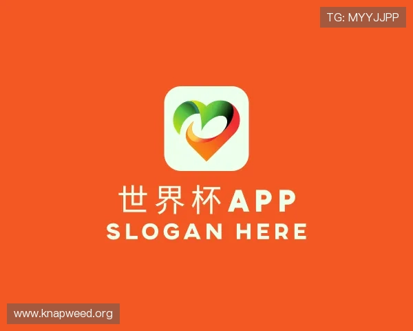 解读世界杯app官方入口